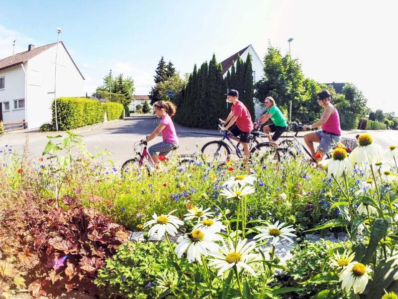 Fahrradfahrer im Hinergrund an einem Kreisverkehr mit bunten Blumen im Vordergrund
