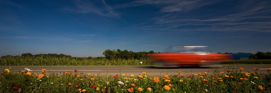 Blauer Himmel, grüne Wiese mit Blumen und rotes vorbeifahrendes Auto