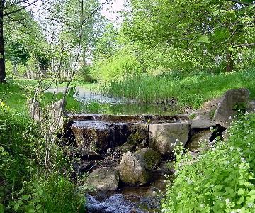 Herrenweiher-Park, Bachlauf im Grünen