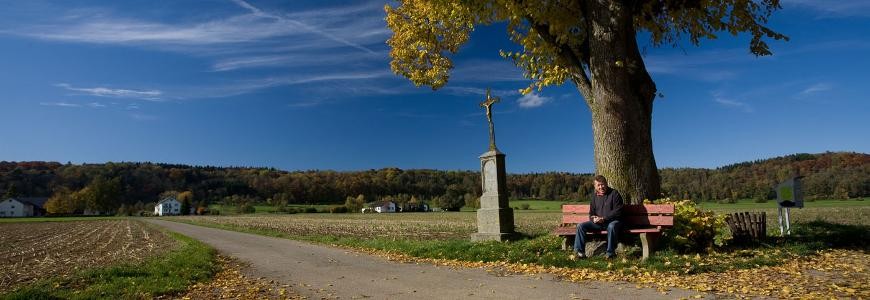 Ausruhen auf Parkbank unter Baum Ausruhen auf Parkbank unter Baum